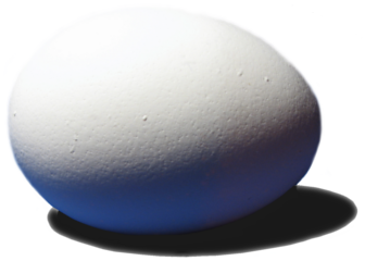 incubating
